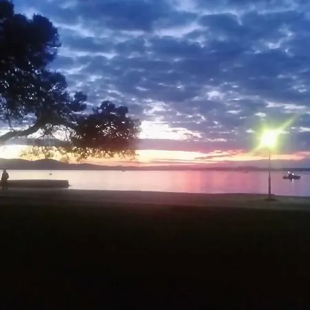 Yelena Rose West * زادار