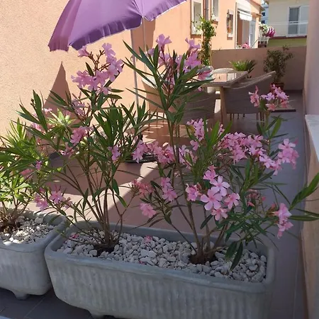 Apartment Yelena Rose West
