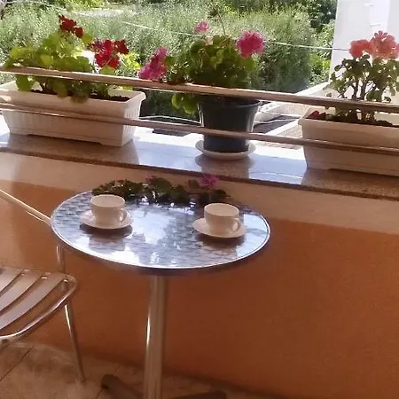 Apartment Yelena Rose West Zadar