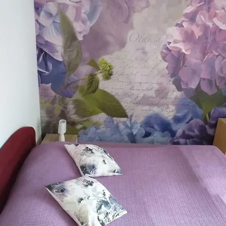 Yelena Rose West Apartment Zadar