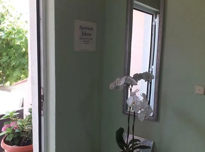 Yelena Rose West アパート